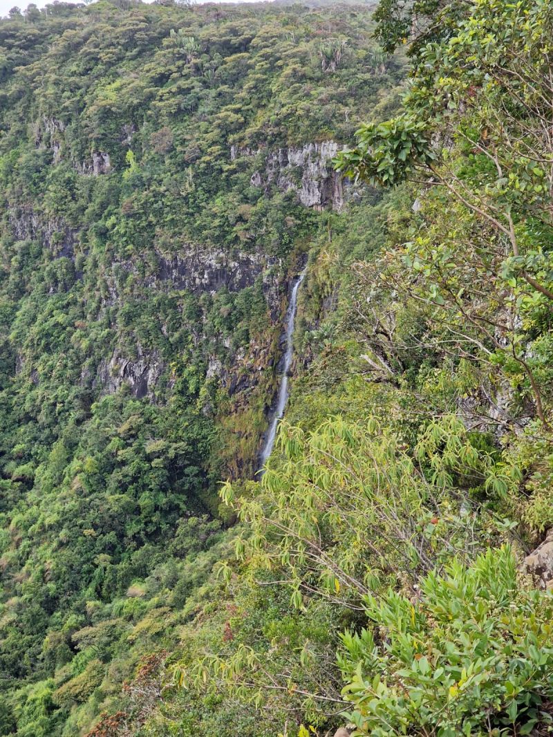 Lyha,Mexique,Nature