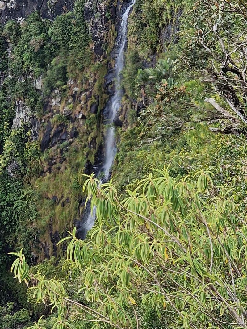 Lyha,Mexique,Nature