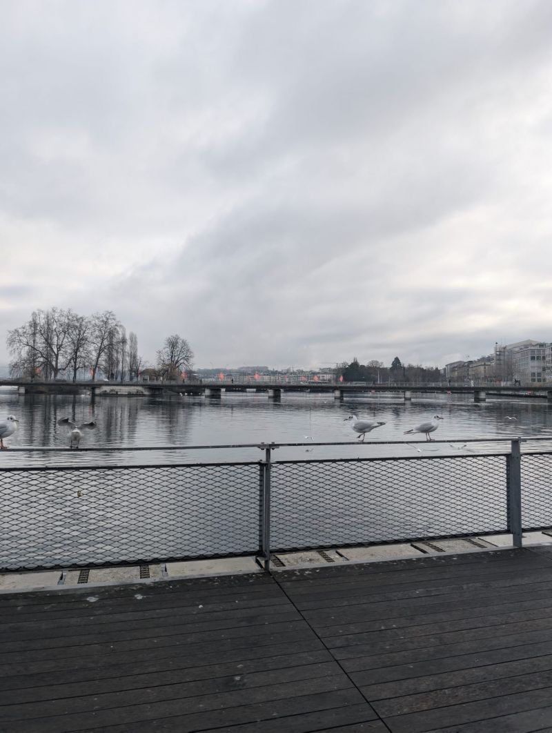 Génève,güyzd,Suisse