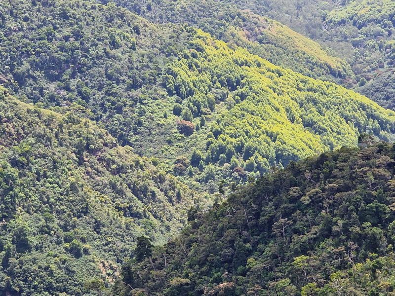 Lyha,Mexique,Nature