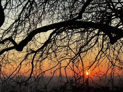 France,güyzd,Paris,Tour Eiffel,Tours